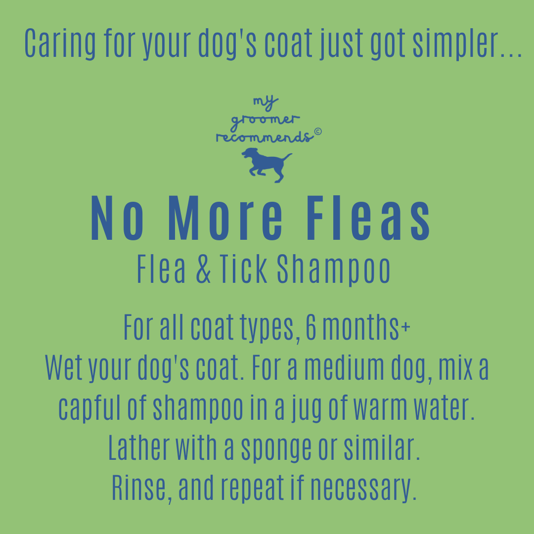 No ticks shampoo best sale