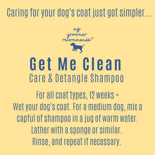 Dog grooming best sale kit for cockapoo